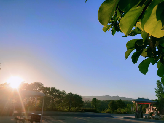 1692089555200186.png 6402.png