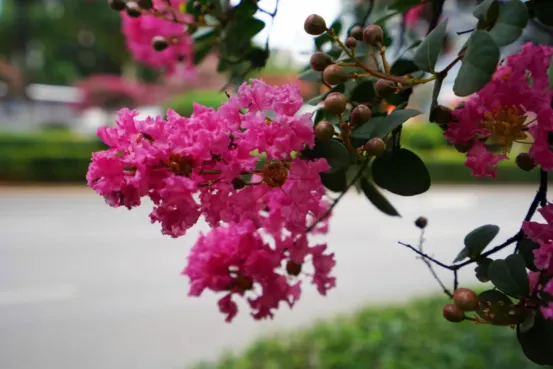 1692088650437283.jpg 1692088650437283.jpg