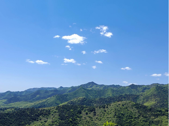 1654580571589032.jpg 640 (2).png