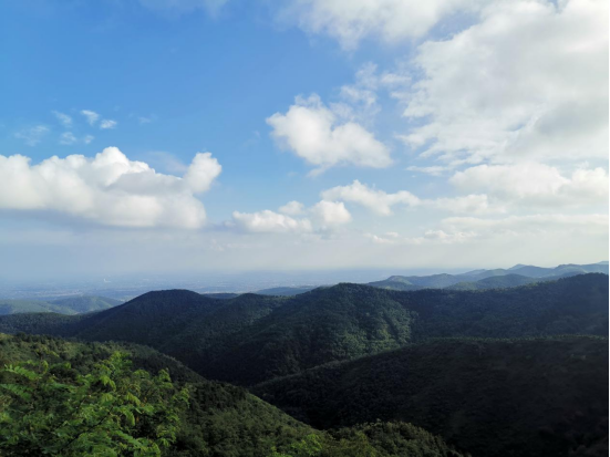 1654580661187604.jpg 640 (3).png