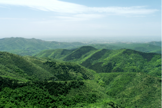 1655366875383577.jpg 640.png